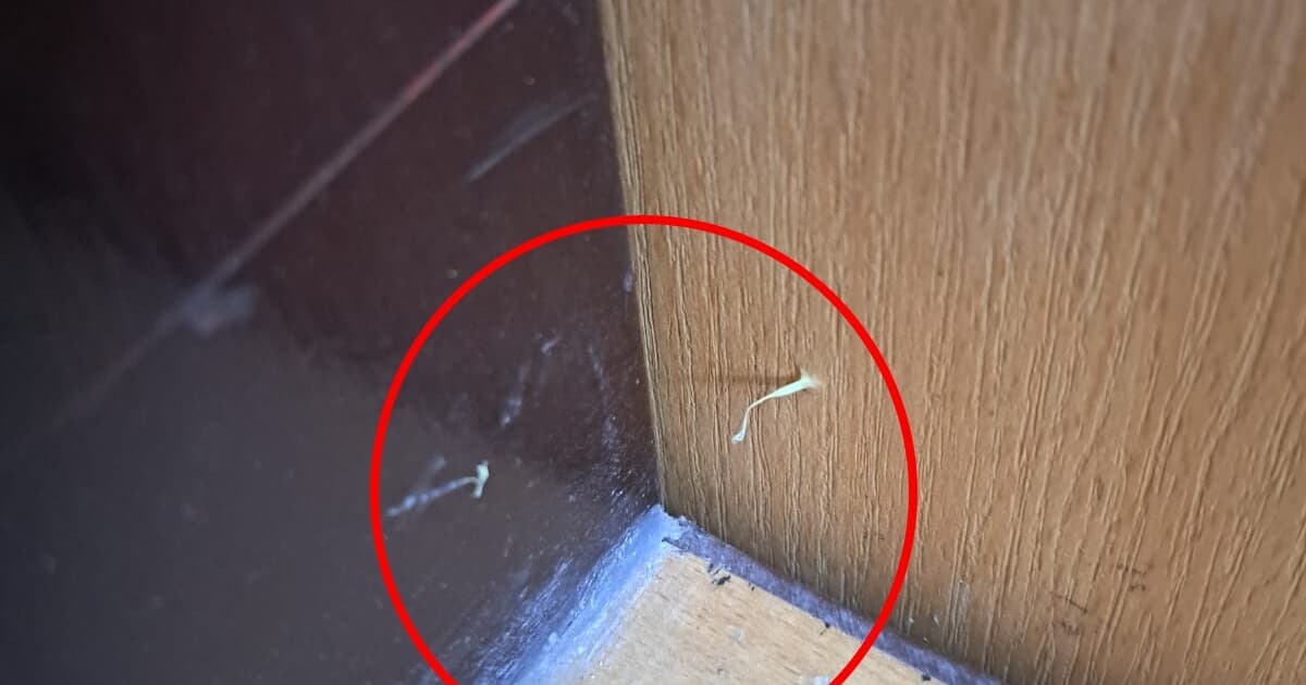 Podozrivé symboly na dverách vyvolávajú obavy v Nitre a okolí