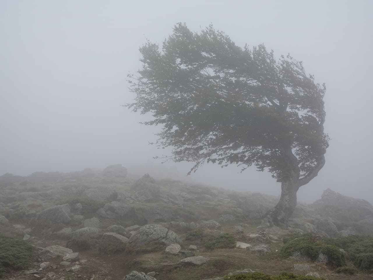 Meteorológovia varujú pred silným vetrom na horách Slovenska
