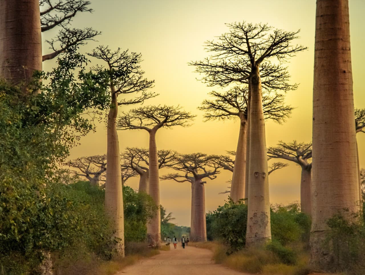 Madagaskar: Exotický ostrov plný unikátov a slovenských súvislostí