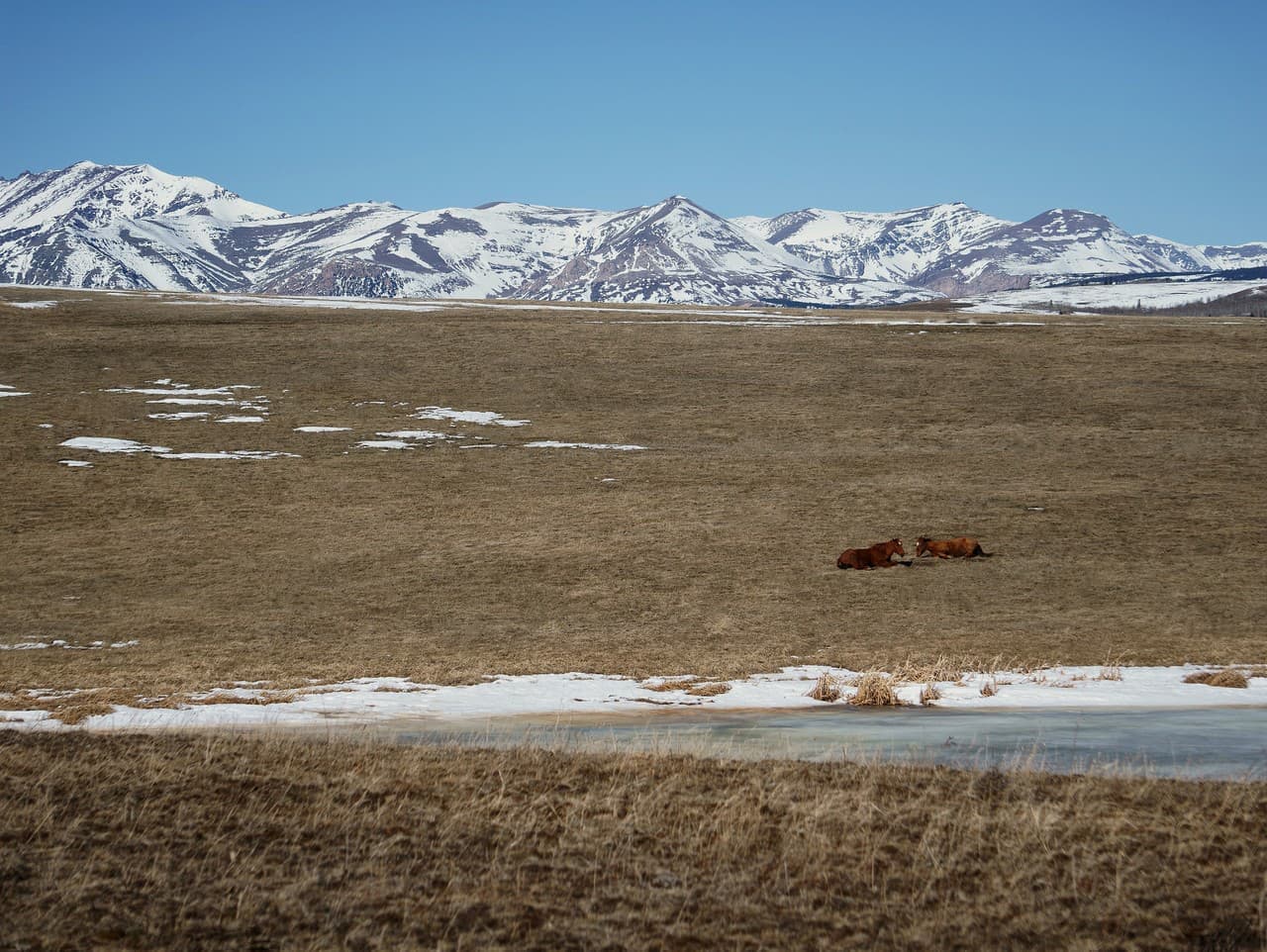 Sneženie na juhu Slovenska: Očakávajte slabú snehovú pokrývku
