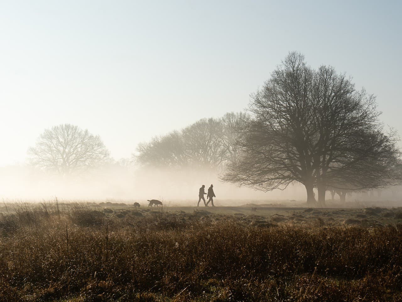 SHMÚ varuje pred hmlou, vetrom a víchricou na horách