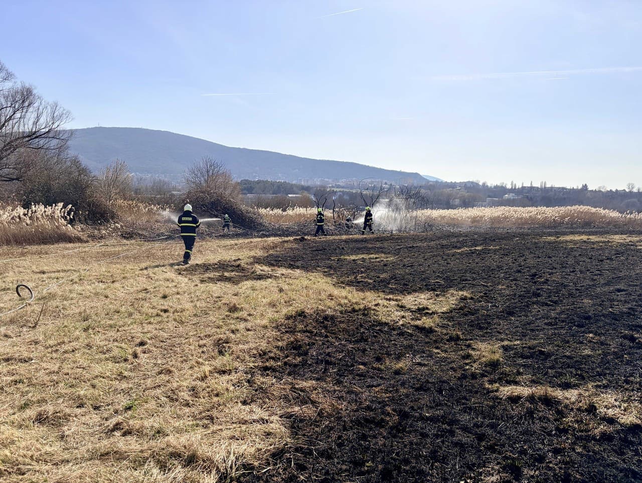 Hasiči zasahovali pri požiari porastu v Bratislave