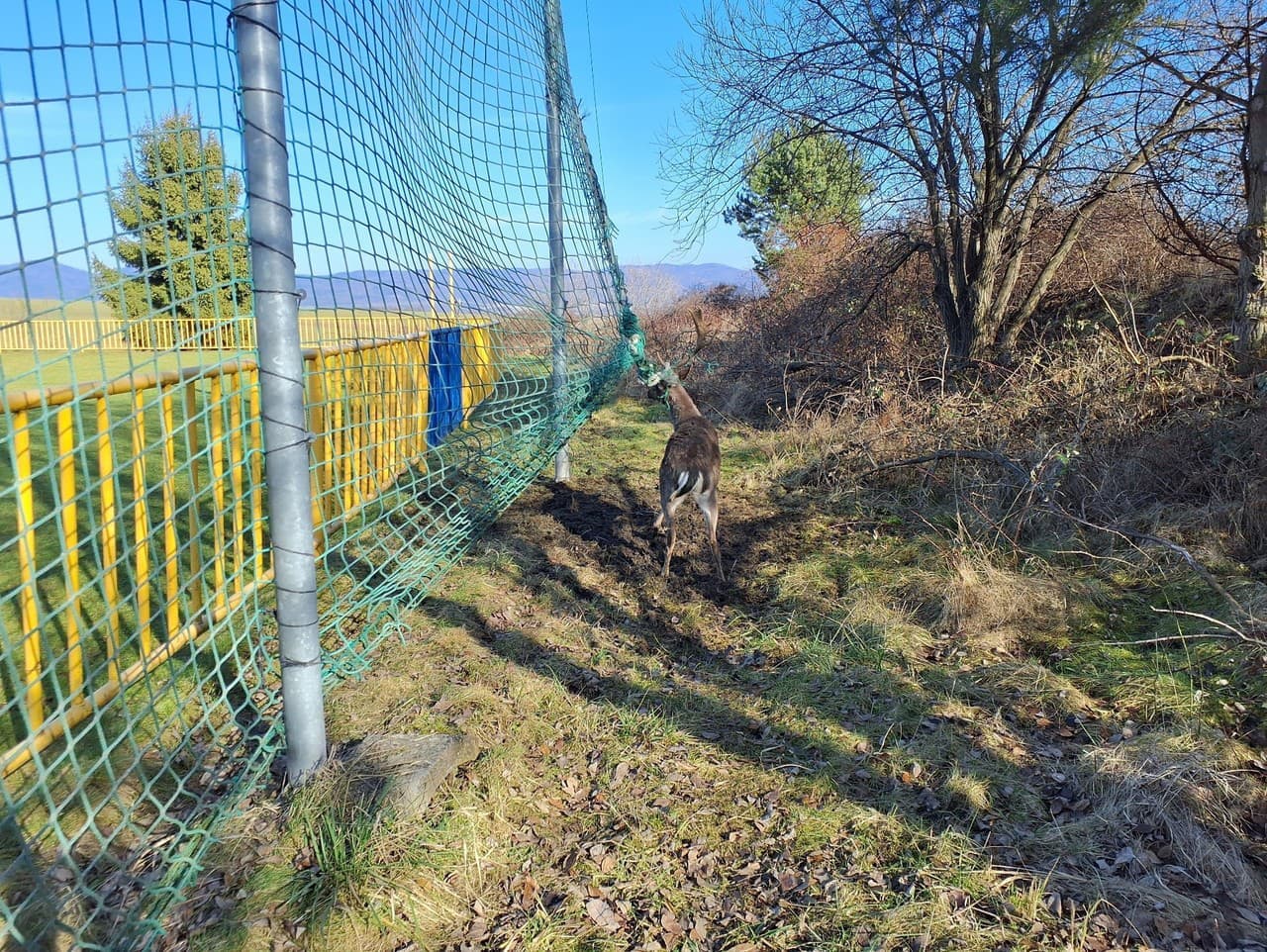 Hasiči v Kanianke zachránili daniela z futbalovej siete