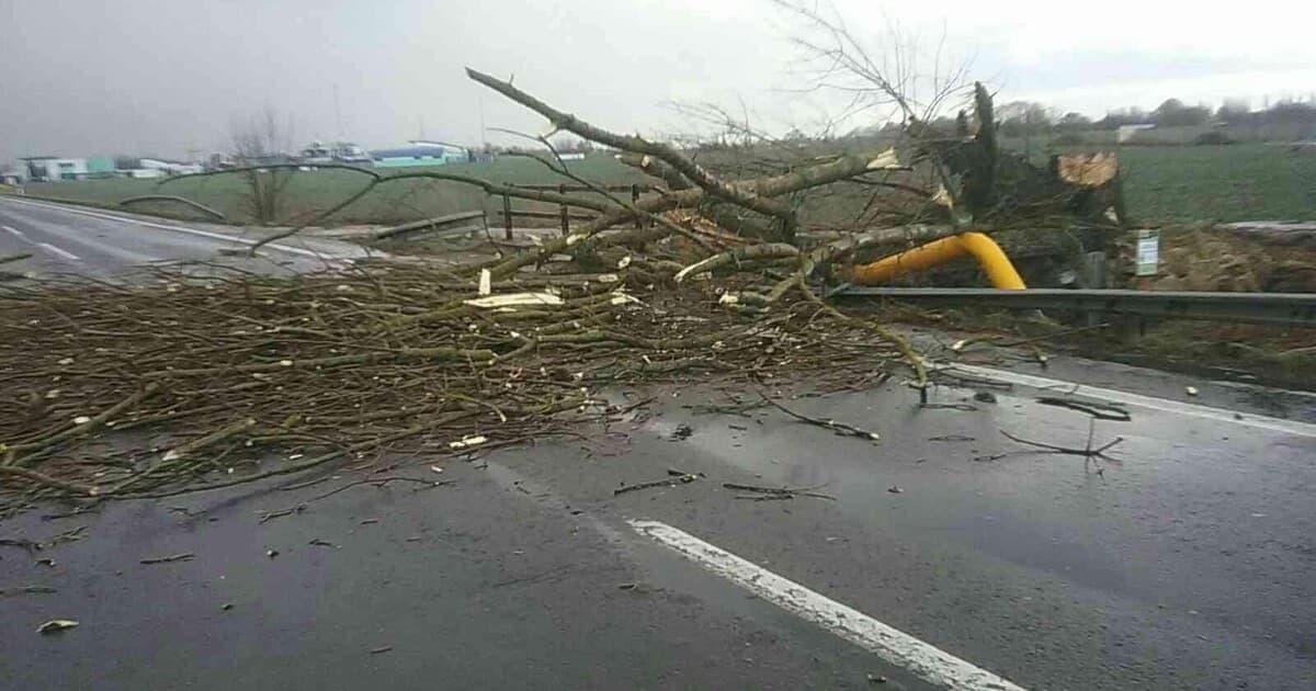 SHMÚ varuje: Silný vietor ohrozuje návštevníkov hôr