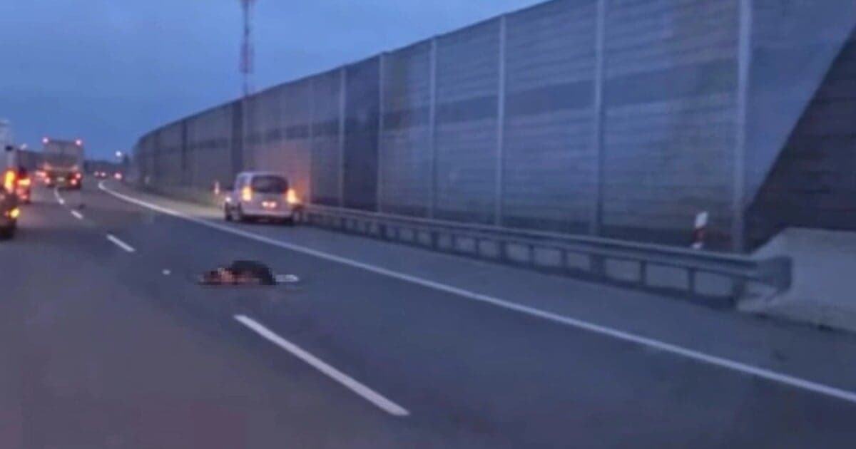 Tragická dopravná nehoda uzavrela diaľnicu D1 pri Sučanoch