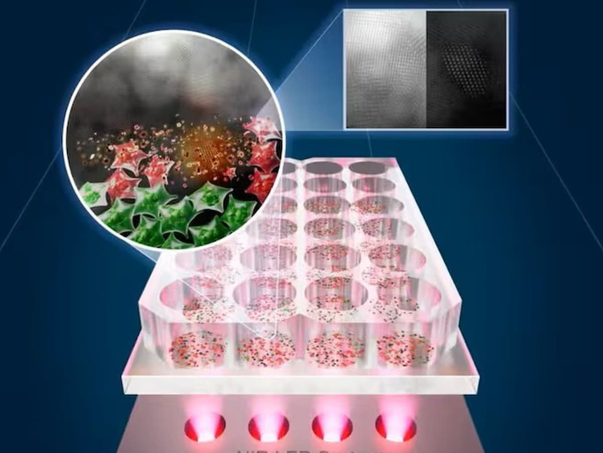 Revolúcia v liečbe rakoviny: Svetlo ničí nádory bez chemoterapie