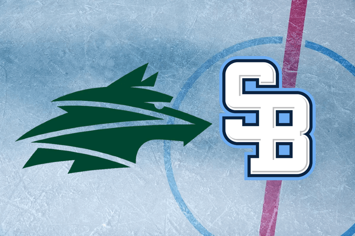 Vlci Žilina vyzvú Slovan Bratislava v Tipsport lige