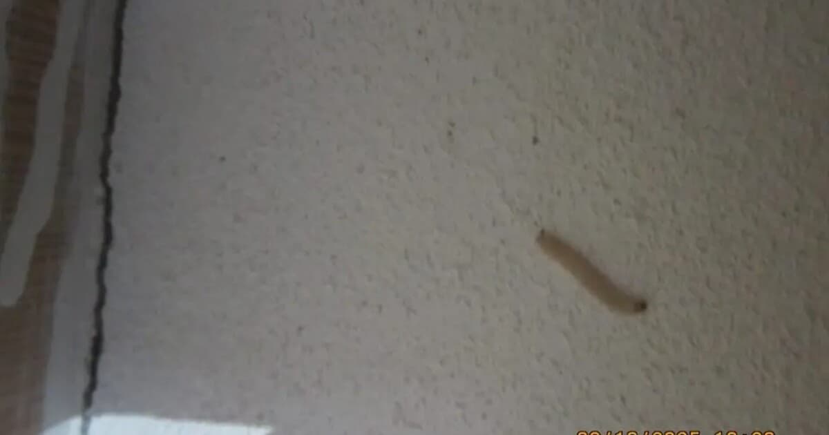 Inšpektori odhalili stovky porušení pri predaji potravín na Slovensku