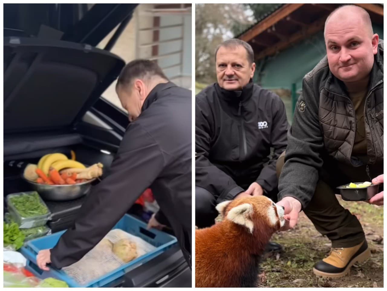 Vianoce v Bojnickej ZOO: Ministerstvo obdarilo zvieratá