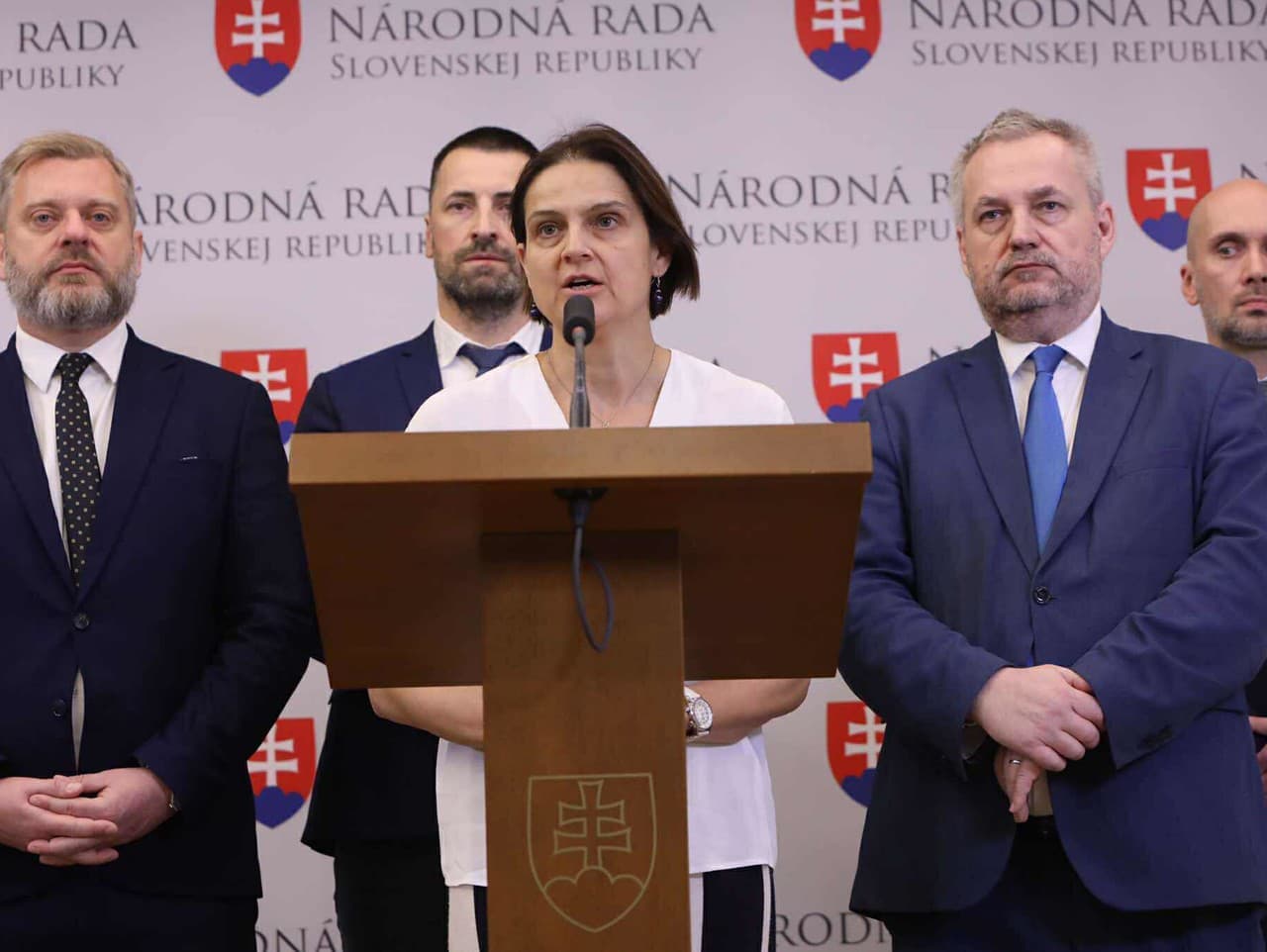 SaS navrhuje ústavné zmeny na zastavenie konania EK proti SR