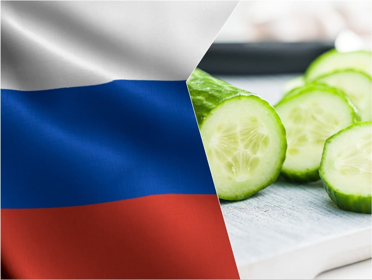 Rusi sa sťažujú na vysoké ceny uhoriek, úradníci žiadajú vysvetlenie