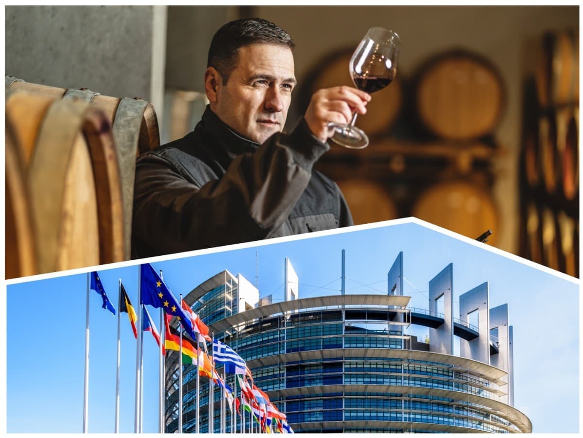 Európsky parlament schválil nové opatrenia pre vinársky sektor