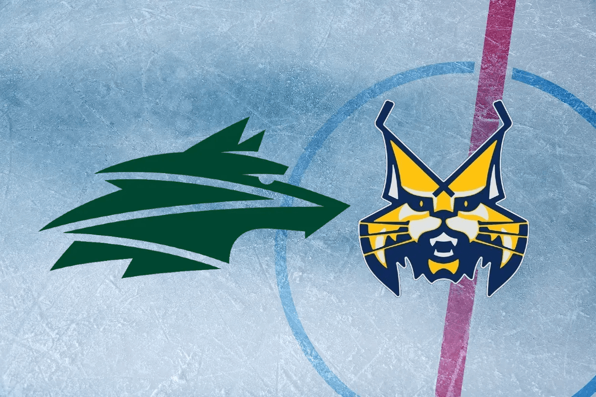 Hokejový súboj: Vlci Žilina vs. HK Spišská Nová Ves v Tipsport lige