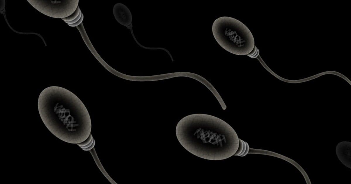 Letné mesiace zvyšujú rýchlosť spermií, ukazuje nový výskum