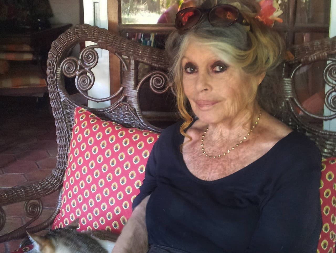 Brigitte Bardot otvorene o boji s depresiami a pokusoch o samovraždu