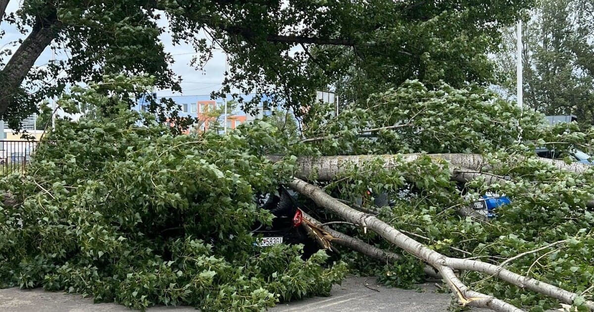 Na Slovensku hrozí silný vietor a víchrica