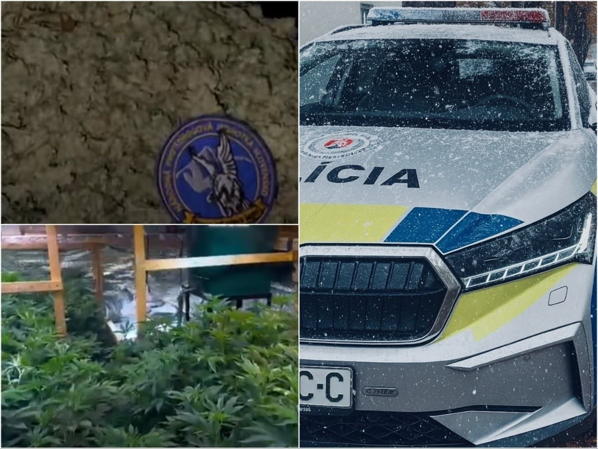 Pezinský muž obvinený z výroby marihuany: Polícia zaistila 20 kíl drogy