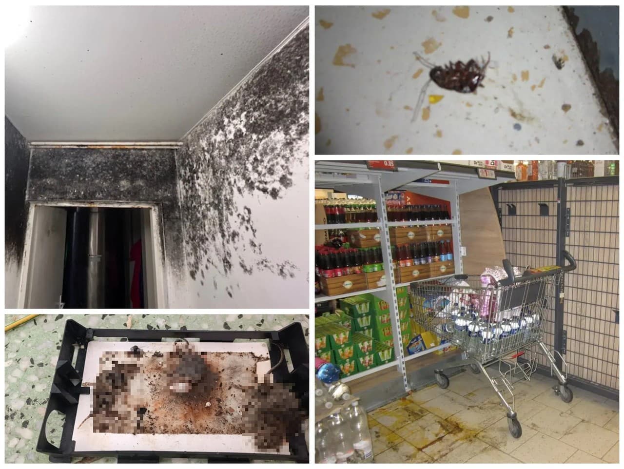 Šokujúce výsledky kontrol potravín na Slovensku