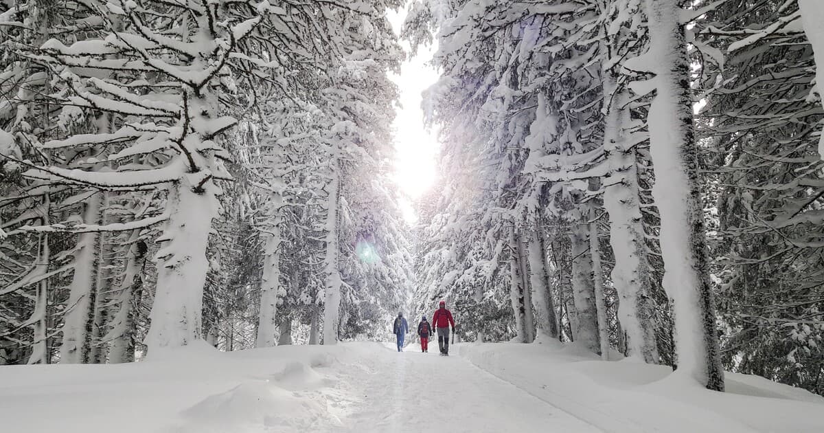 Meteorológovia varujú: Polárny vír môže spôsobiť silné mrazy