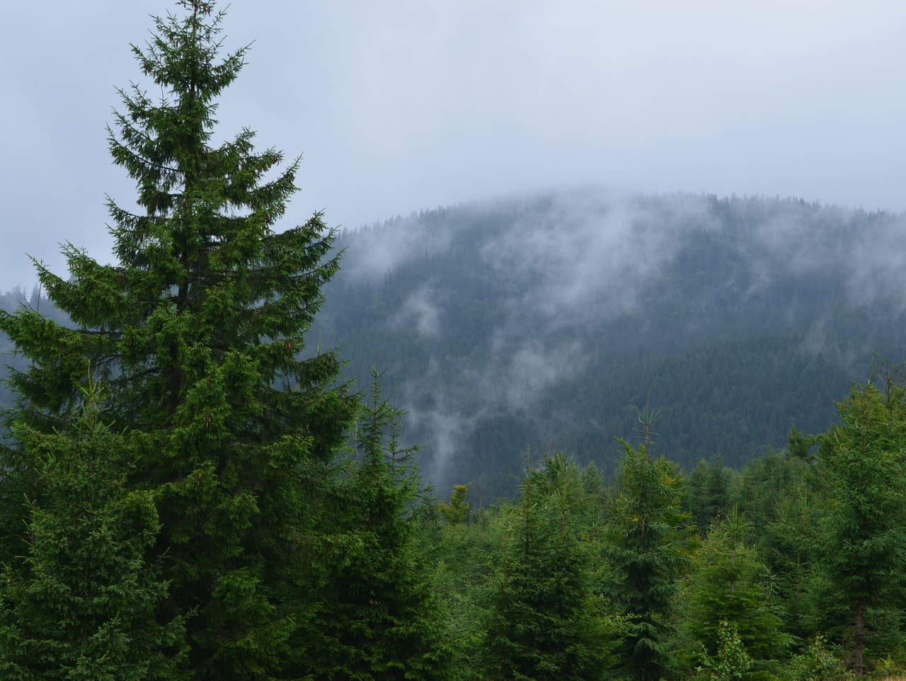 Na Slovensku vzniká lokálny fénový vietor, upozorňujú meteorológovia