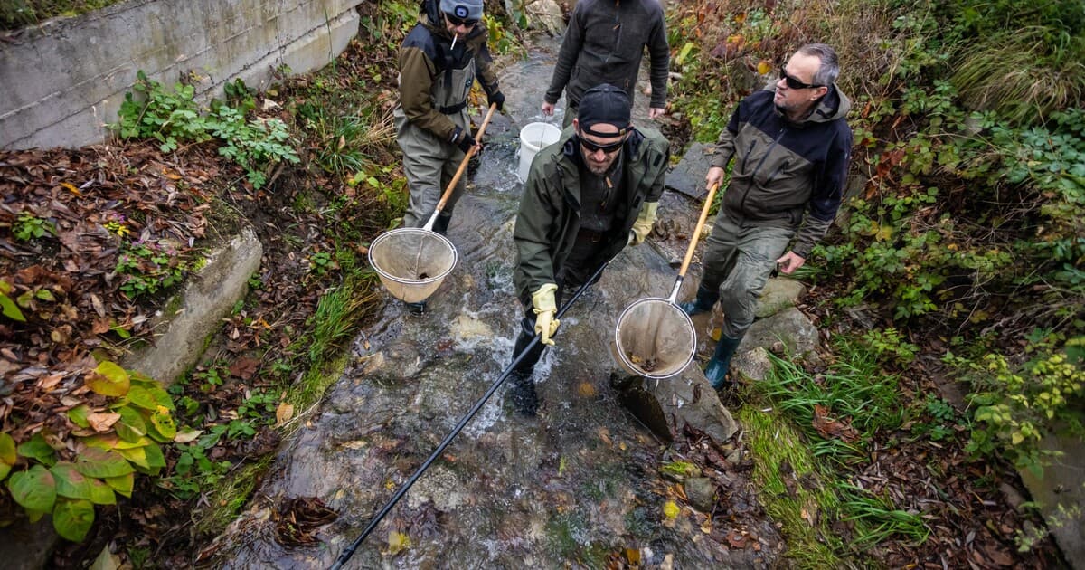 Rybári budú platiť 5-eurový poplatok: Dôvody a využitie prostriedkov