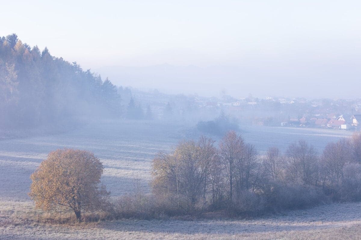 Hmla na Slovensku: Meteorológovia varujú pred zníženou dohľadnosťou