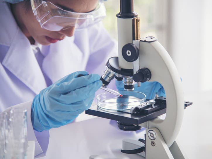 Objav nového jednobunkového organizmu mení pohľad na evolúciu buniek