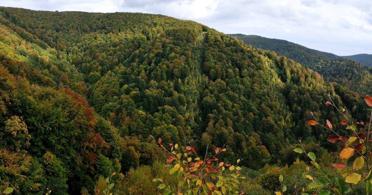Muž, vyhlásený za mŕtveho, sa po 20 rokoch našiel v stane