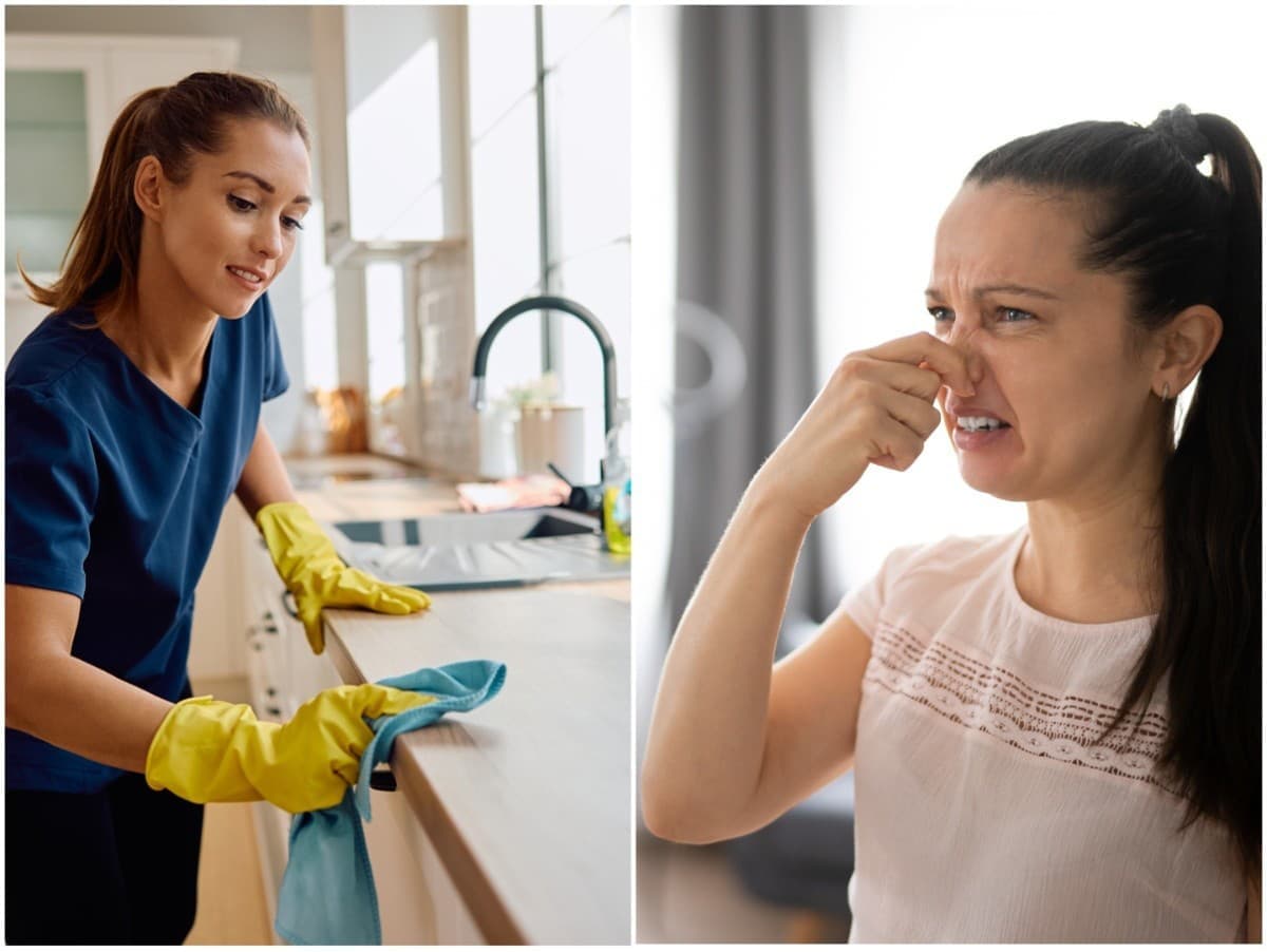 Skryté zdroje zápachu vo vašej domácnosti: Odborník radí