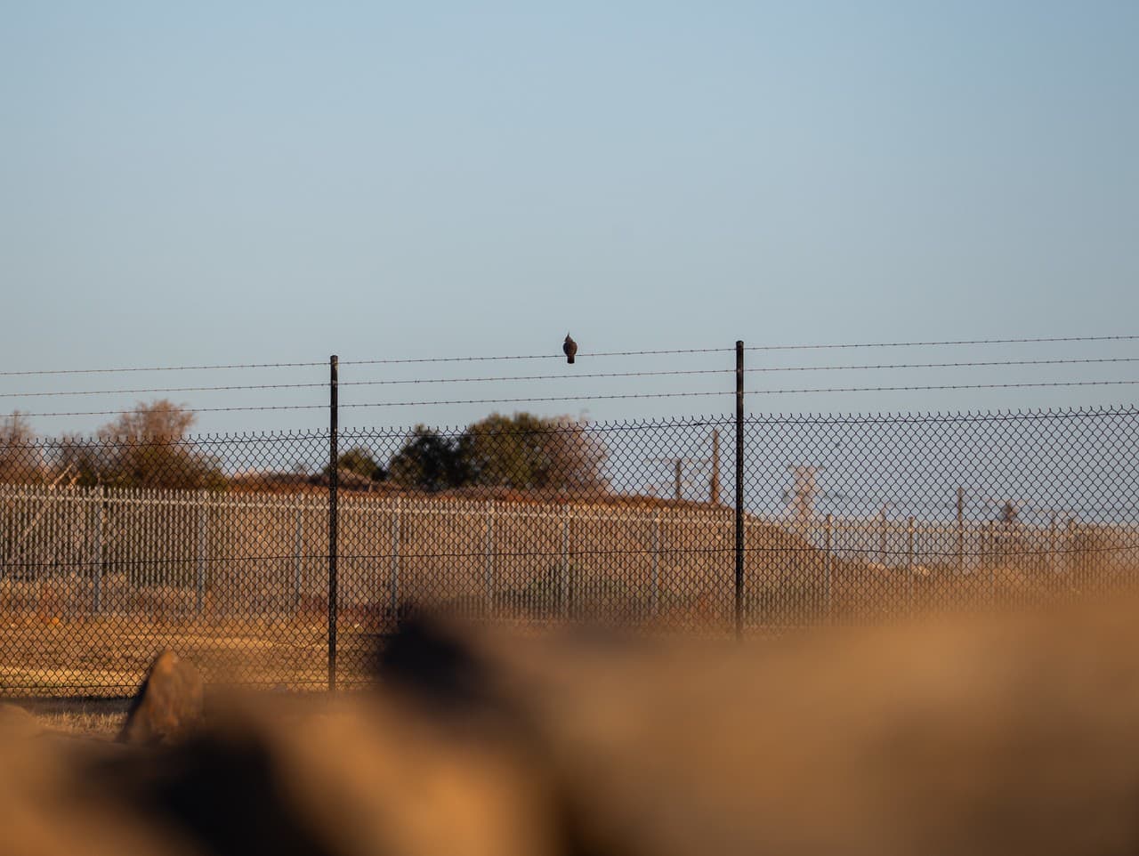 Napäté diplomatické vzťahy medzi Izraelom a Juhoafrickou republikou