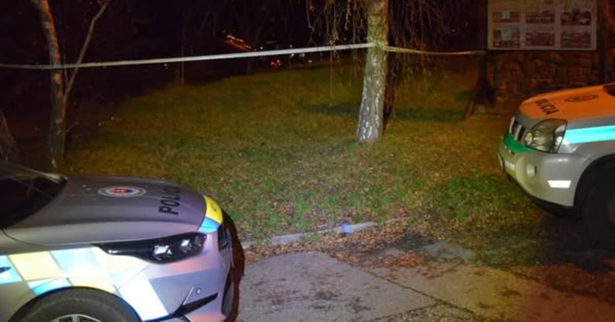 Pokus o úkladnú vraždu v Leviciach: Mladú ženu zhodil bývalý priateľ