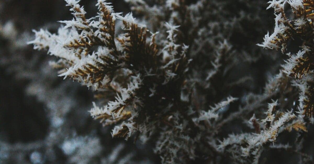 Prudký mráz zasiahne Slovensko, teplota klesne až na -15 °C