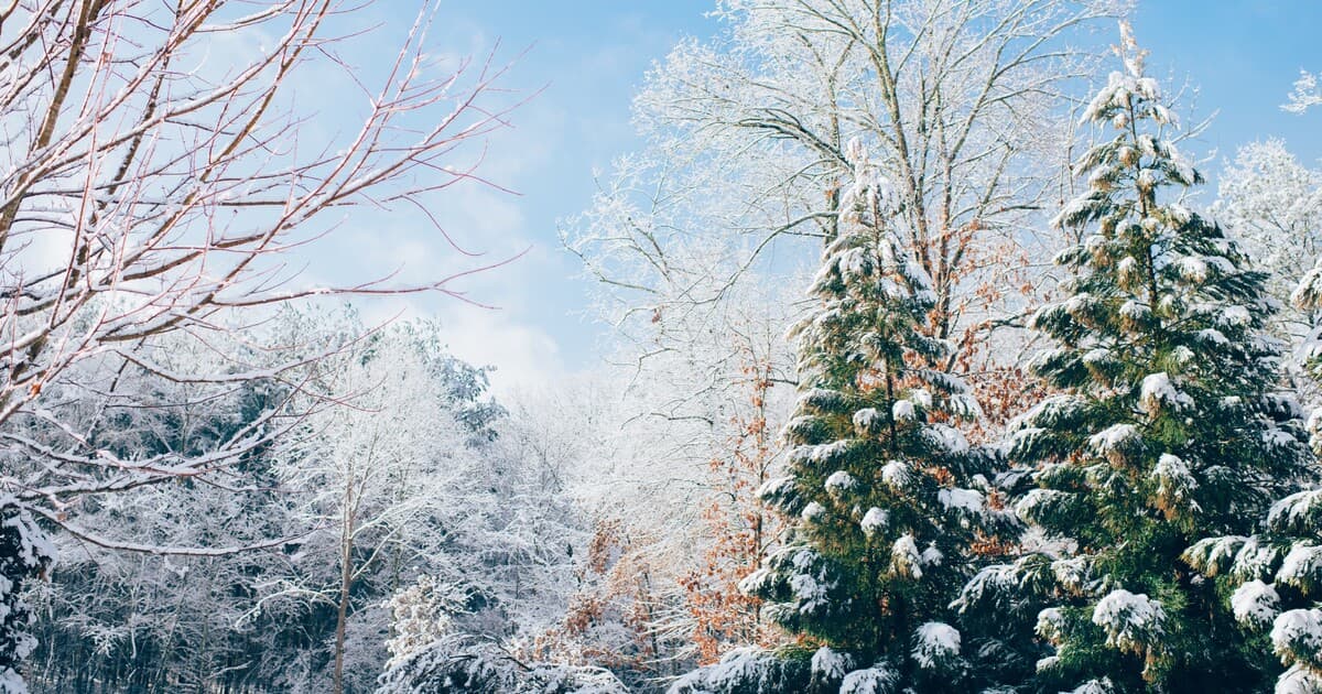 Na Slovensku sa očakáva nezvyčajne teplý týždeň