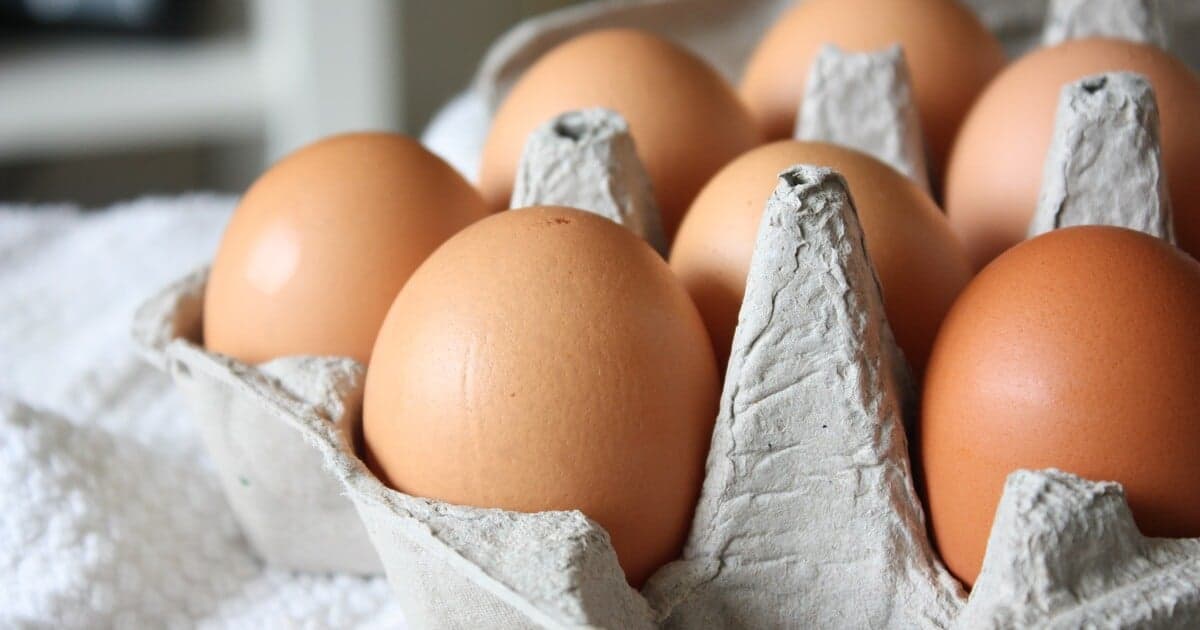 Veterinári varujú: Nejedzte vajíčka z Čalovca, hrozí vtáčia chrípka