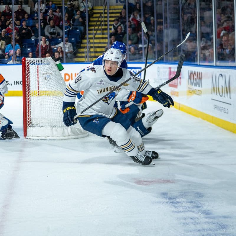 Slovenskí hokejisti žiaria v AHL, Sýkora a Pekarčík sa presadili