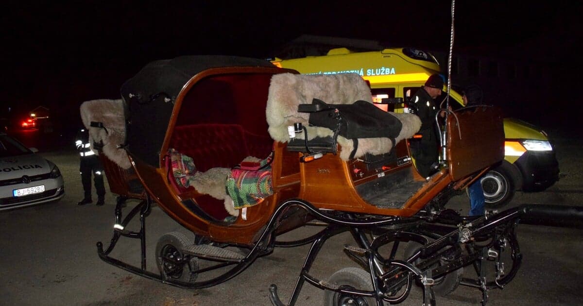 Kone v Bardejove zdemolovali auto, pohonič skončil v nemocnici