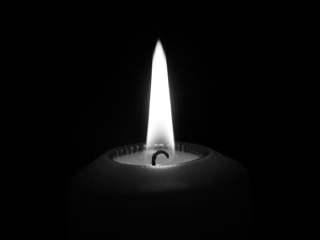 Zomrel Fred Smith, basgitarista legendárnej kapely Blondie