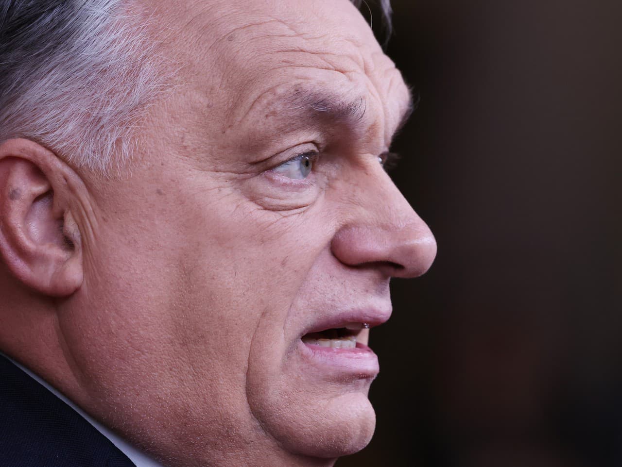 Orbán sa stretol s Dodikom a Trišičovou-Babičovou v Budapešti