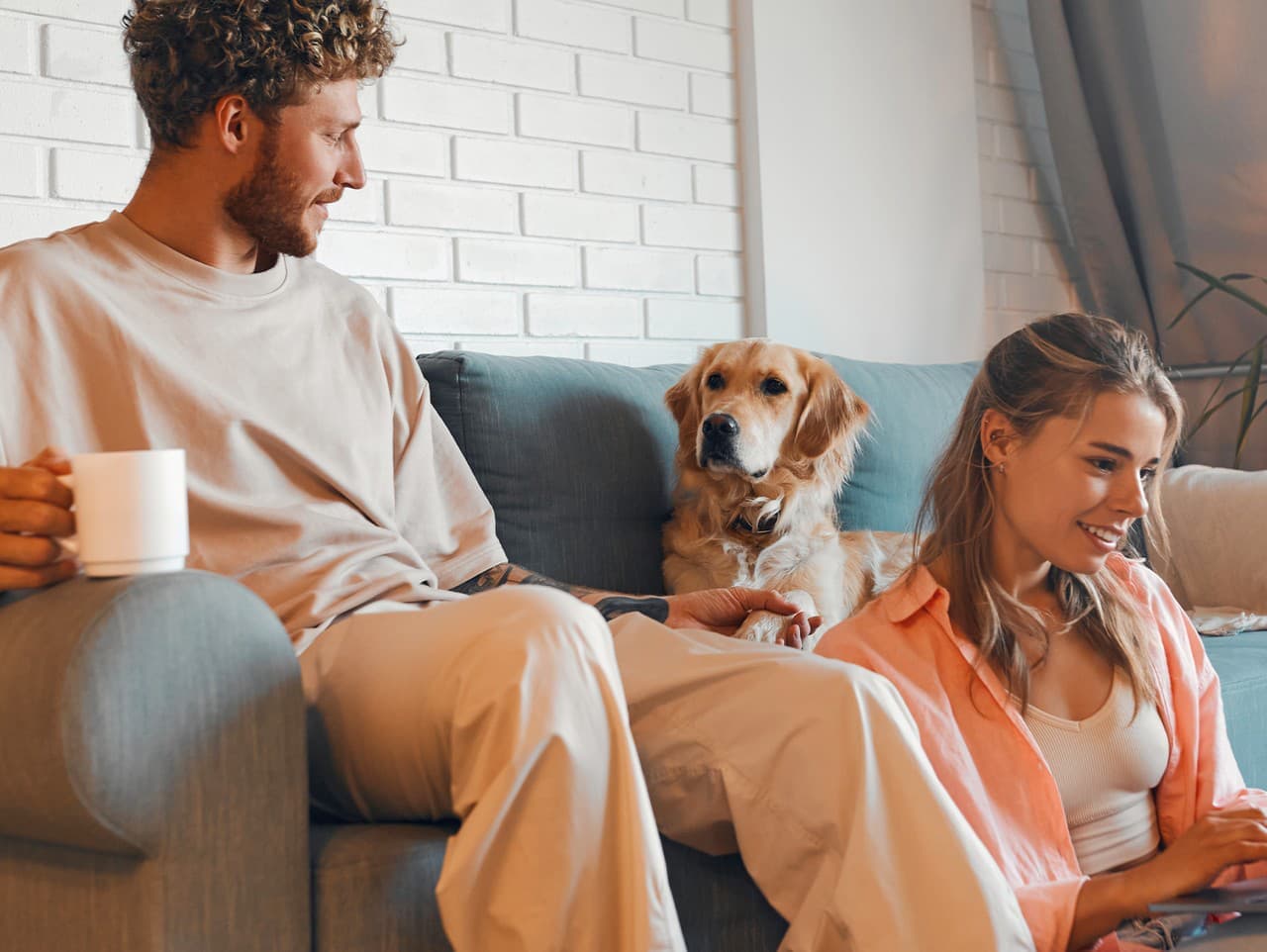 Vianočné darčeky pre domácich miláčikov: Inšpirácie z rozprávok