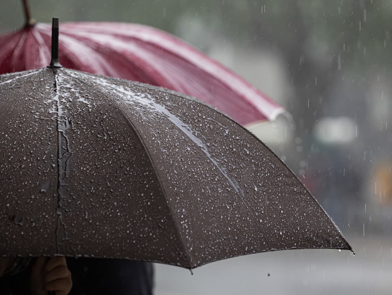 Zima ustupuje: Slovensko čakajú lejaky a hrozba poľadovice