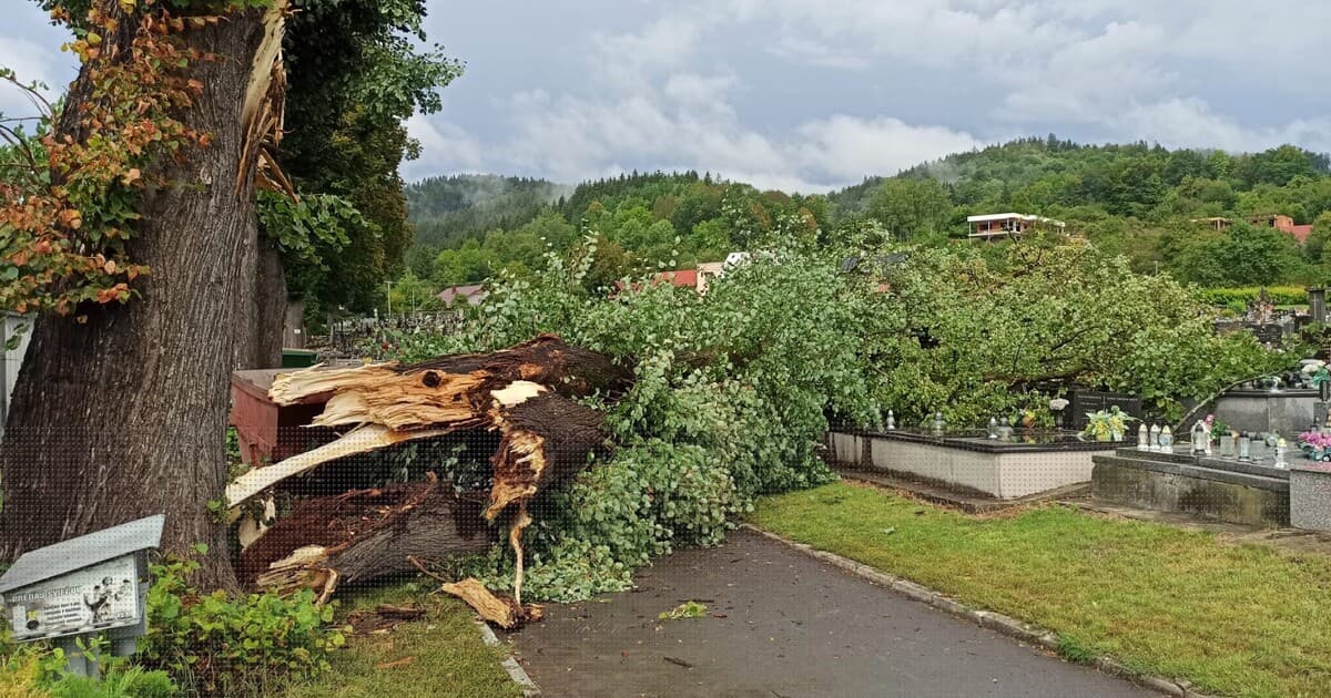 Na Slovensku hrozí víchrica, vietor môže dosiahnuť 135 km/h