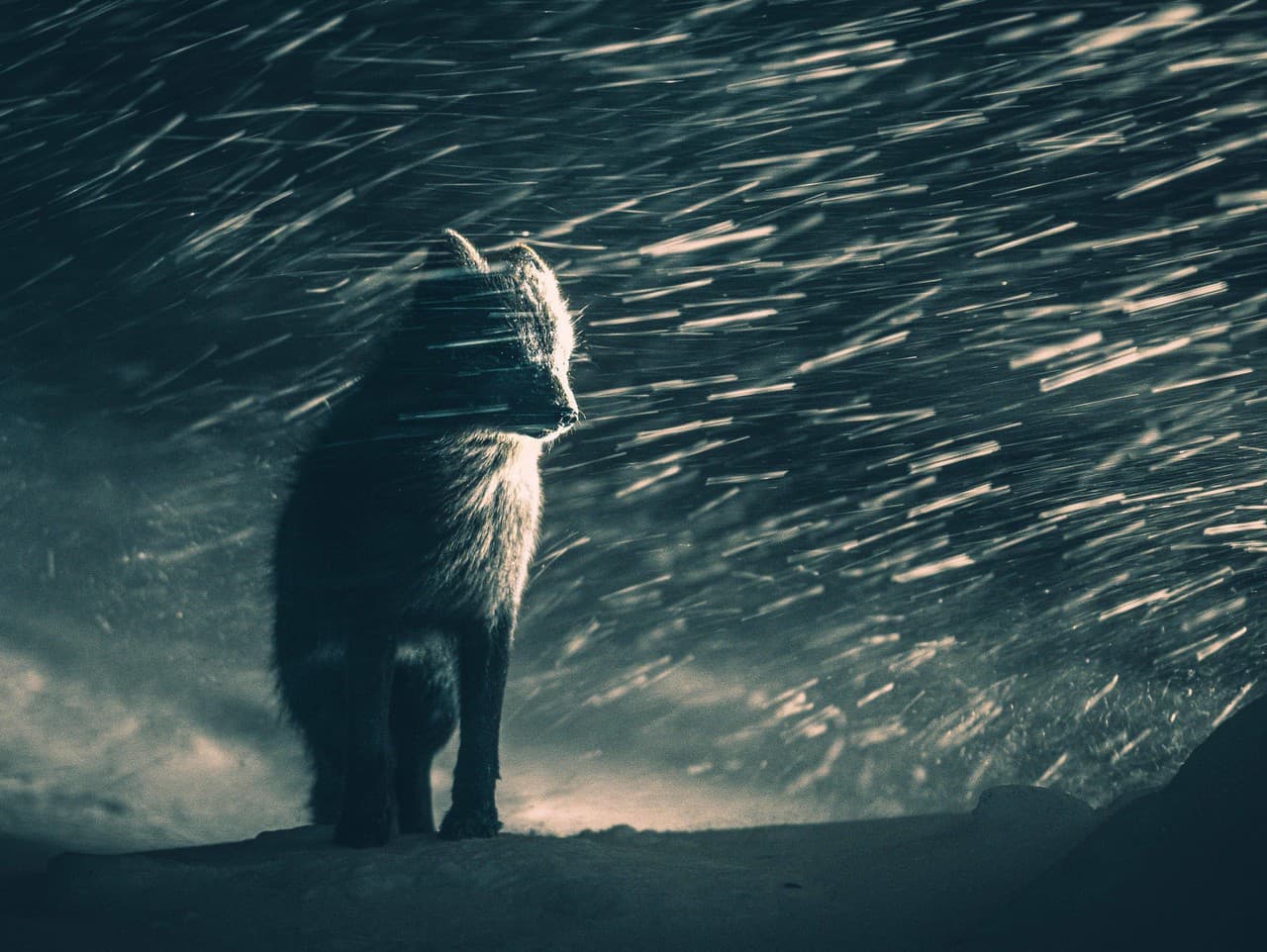 Slovenský fotograf v prestížnej súťaži Sony World Photography Awards