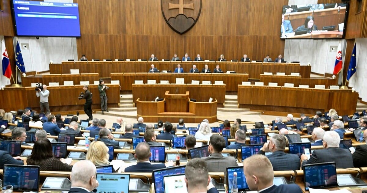 Štátne kontroly mimovládnych organizácií: Čo bude predmetom overovania?