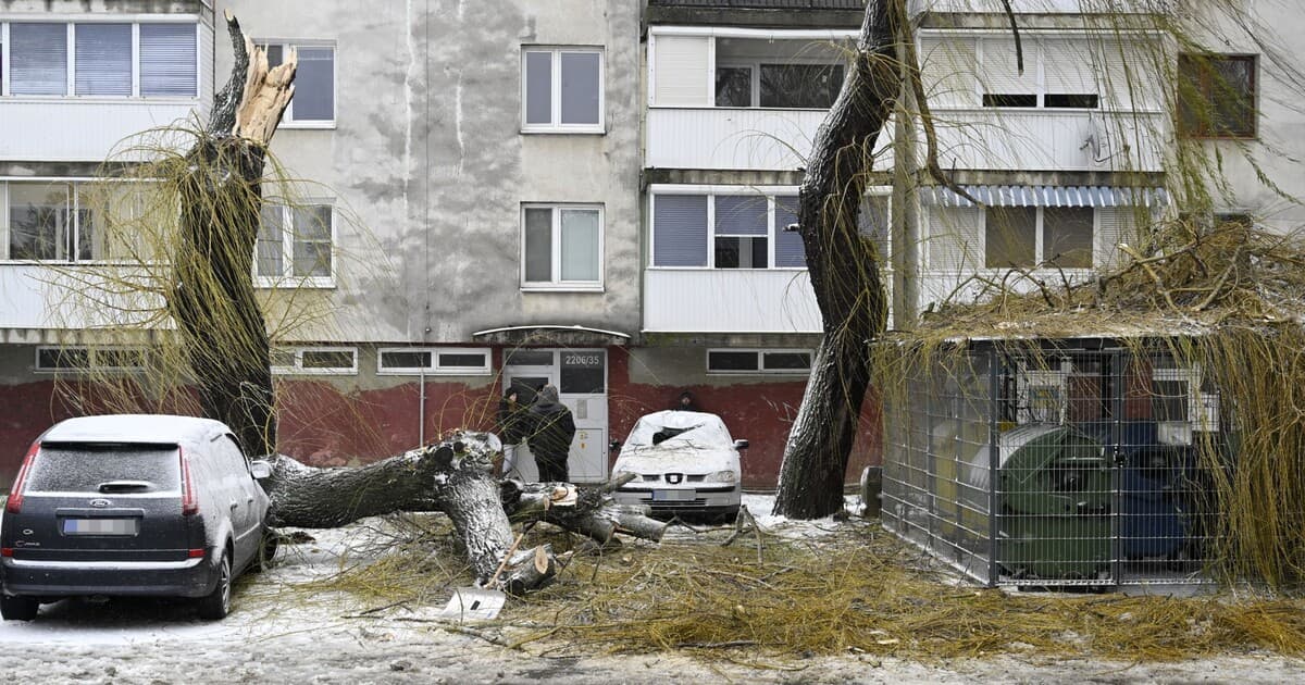 Na Slovensku hrozí poľadovica a silný vietor