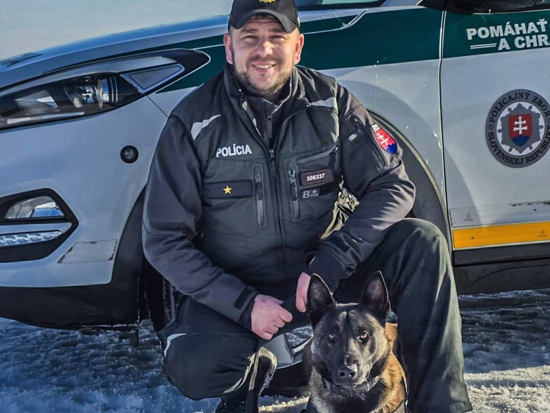 Policajný pes odhalil drogy pri pátraní po odcudzenom Audi