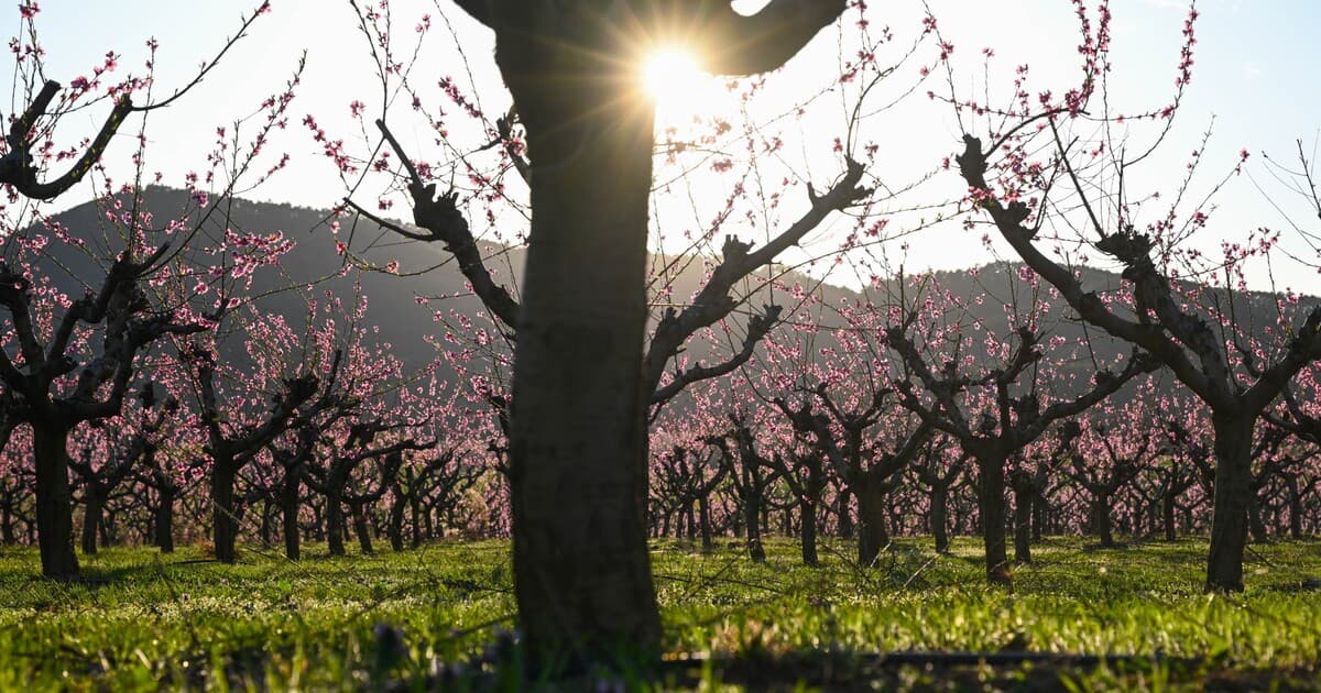 Slovensko čaká výrazná zmena počasia: Až 10 °C a silný vietor