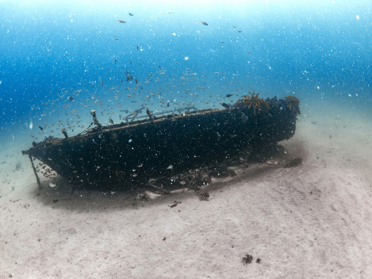 Výskumníci objavili vrak britskej lode HMS Bayano po viac ako 100 rokoch