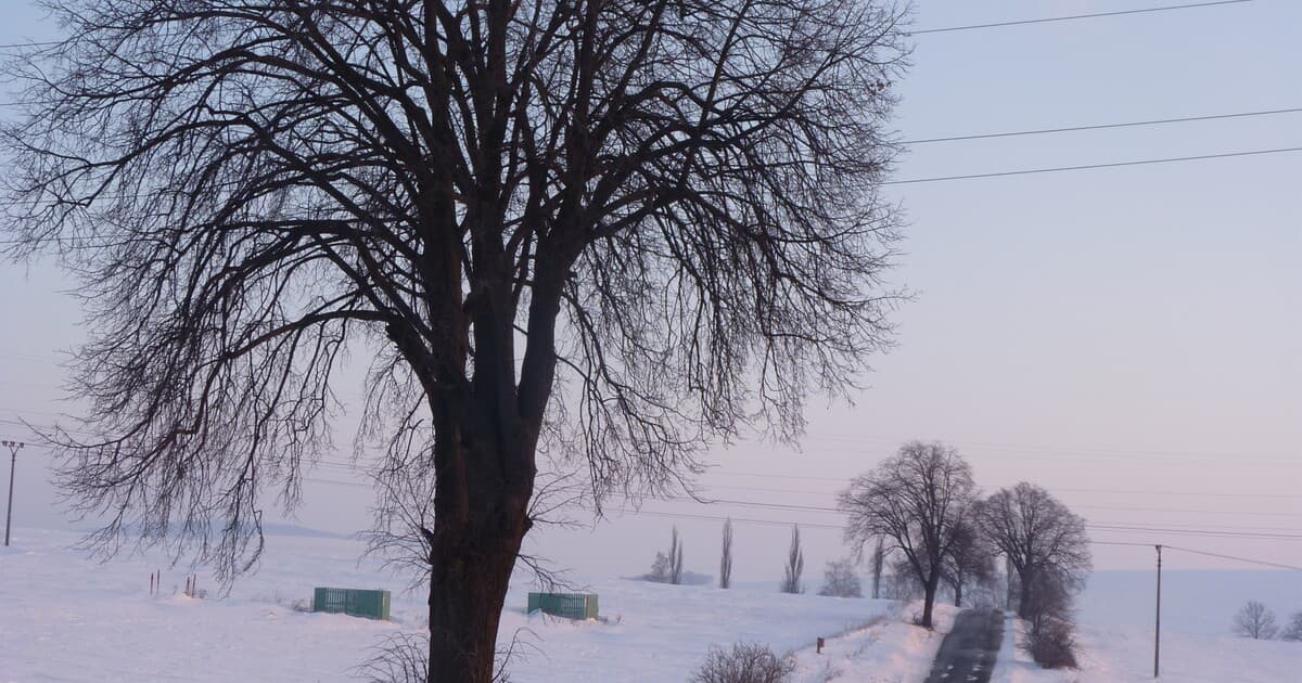 Vianoce bez snehu: Predpoveď počasia sklamala mnohých