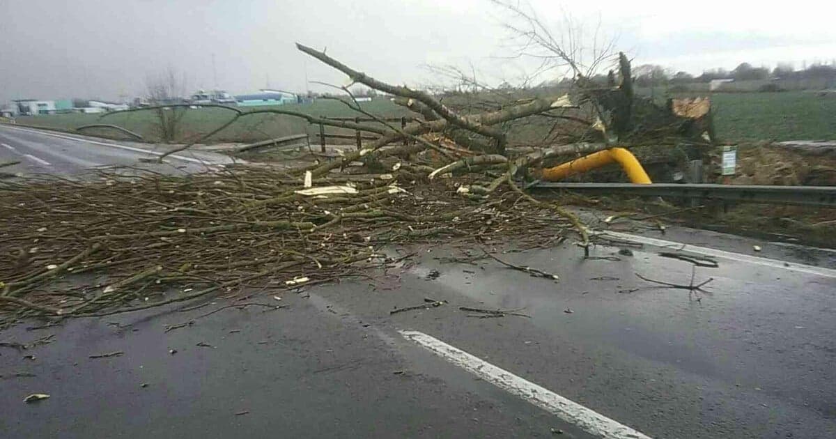 Meteorológovia varujú pred silným vetrom na Slovensku