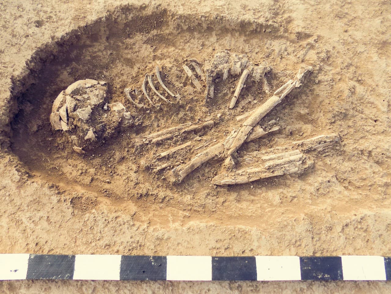 Prekvapivý pohľad na našich predkov: Vedci oživili tvár hominida